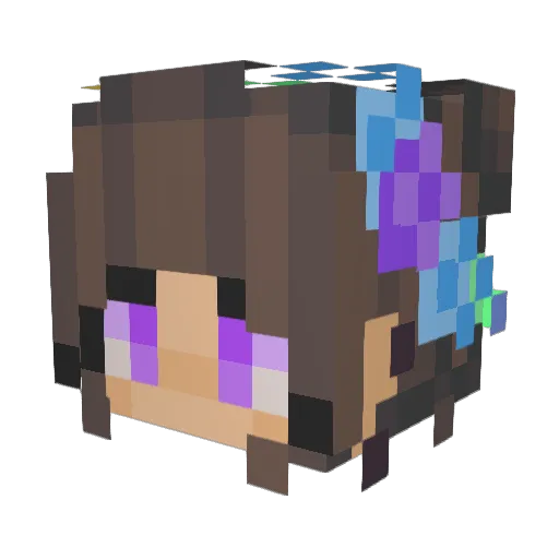 RoxDavo2005 Minecraft avatar head, 3D render