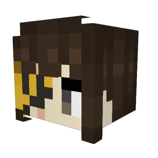 Rox_Fett Minecraft avatar head, 3D render