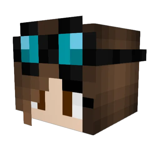 RoxaRoo Minecraft avatar head, 3D render