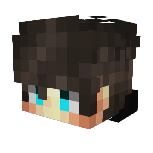 RoxaTR Minecraft avatar head, 3D render