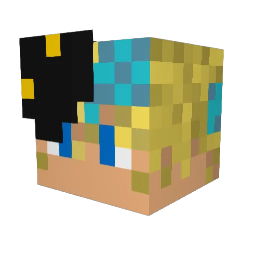 RoxasDoesMC Minecraft avatar head, 3D render