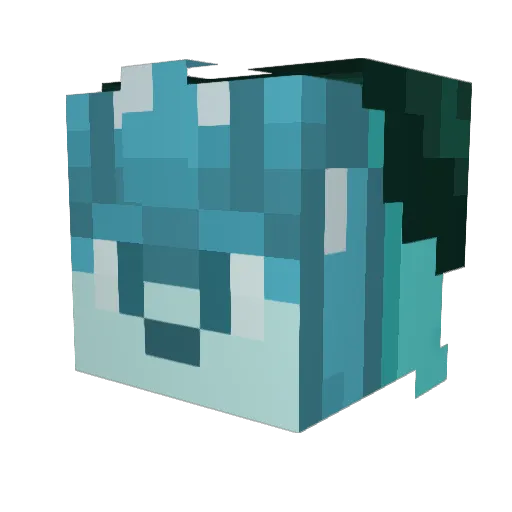 Roxas_Omega Minecraft avatar head, 3D render