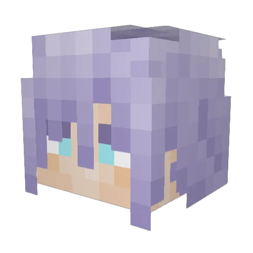 Roxas_Strife17 Minecraft avatar head, 3D render