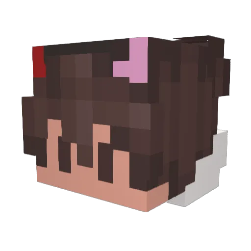 Roxee79 Minecraft avatar head, 3D render