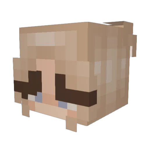 RoxiM16 Minecraft avatar head, 3D render
