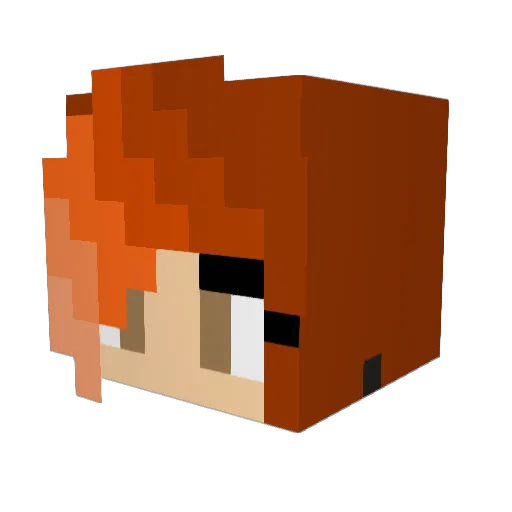 Roxie6162 Minecraft avatar head, 3D render