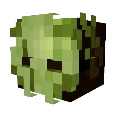Roxles Minecraft avatar head, 3D render