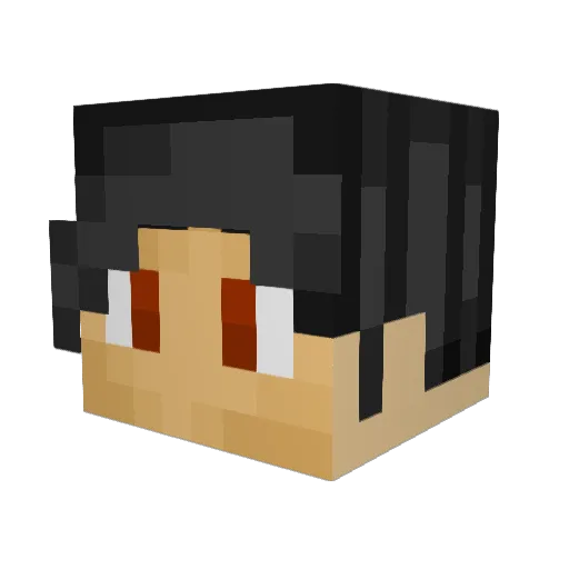Roxnight Minecraft avatar head, 3D render