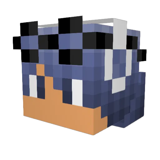 Roxox1 Minecraft avatar head, 3D render