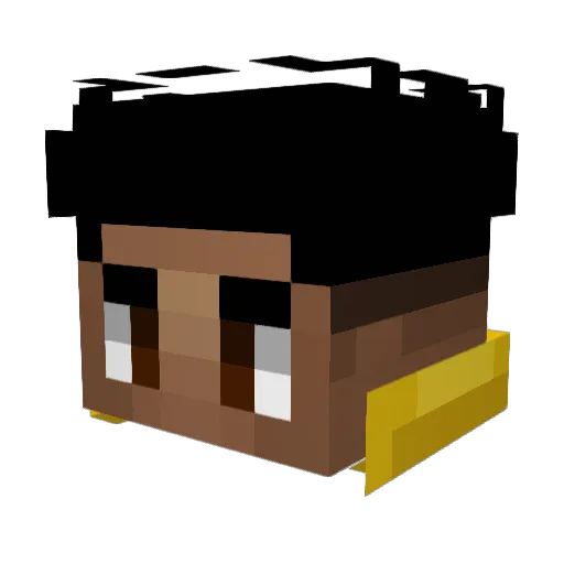 Roxped Minecraft avatar head, 3D render