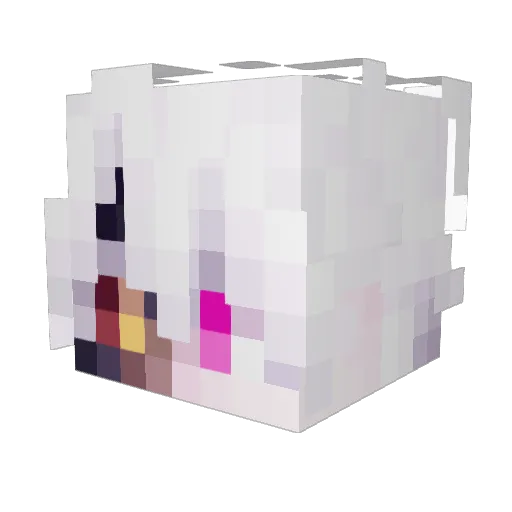 Roxs404 Minecraft avatar head, 3D render