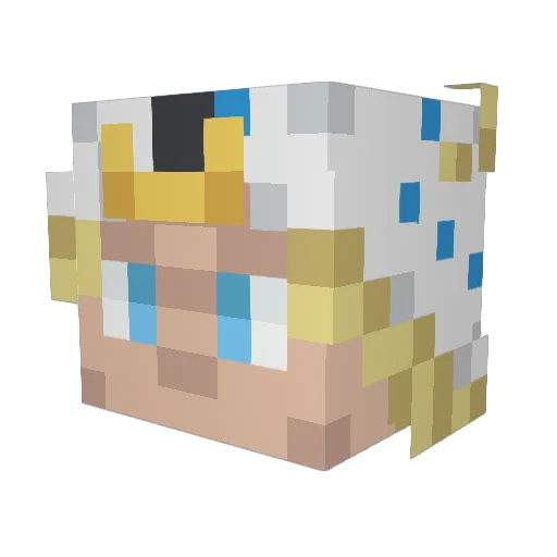 Roxtars Minecraft avatar head, 3D render