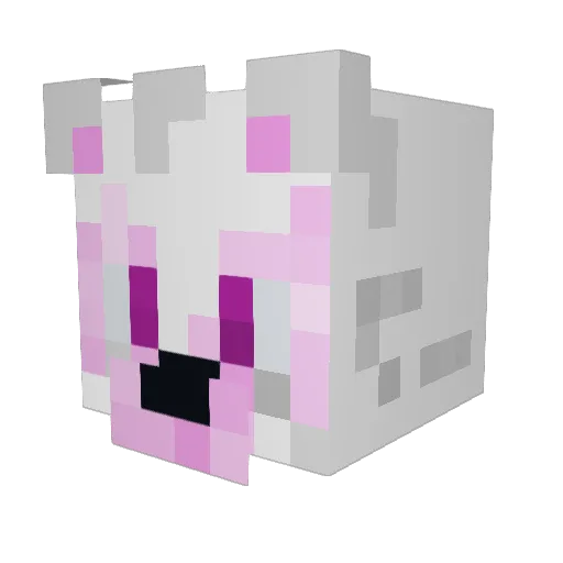 RoxxPlays Minecraft avatar head, 3D render
