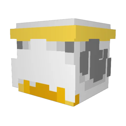 Roxx_fort Minecraft avatar head, 3D render