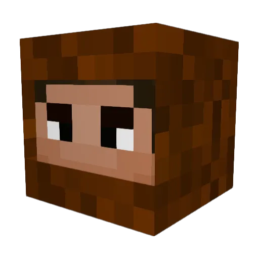 Roxxdude Minecraft avatar head, 3D render