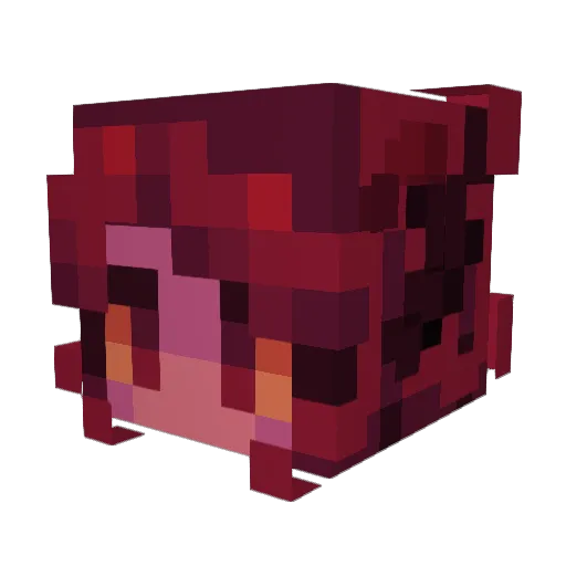Roxxelle Minecraft avatar head, 3D render