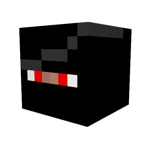 Roxxor333 Minecraft avatar head, 3D render