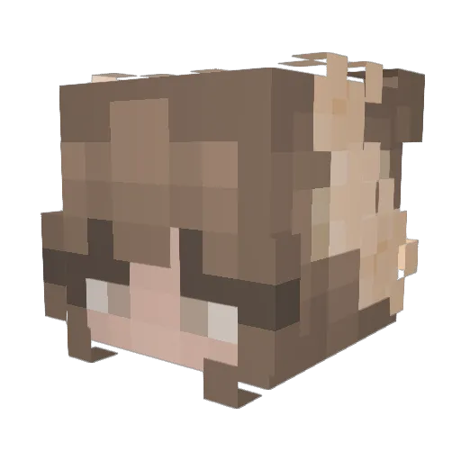 Roxxy14 Minecraft avatar head, 3D render