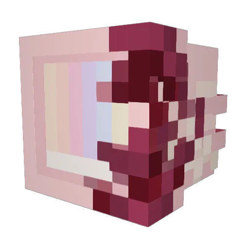 Roxy9136 Minecraft avatar head, 3D render
