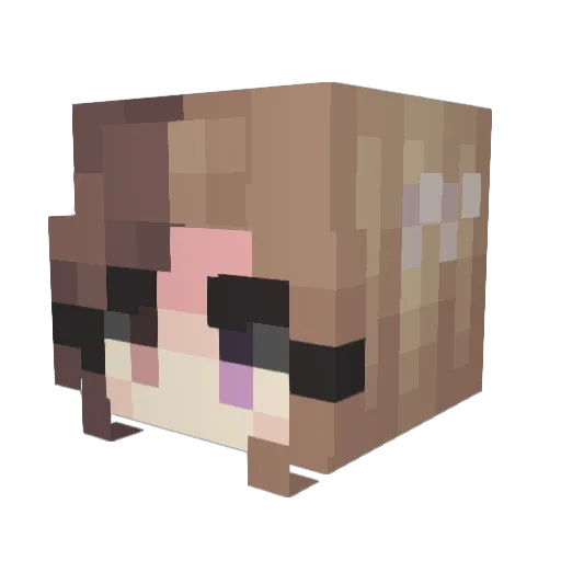 RoxyCatt Minecraft avatar head, 3D render