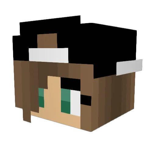 RoxyD18 Minecraft avatar head, 3D render