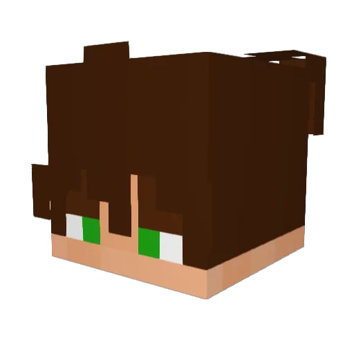 Roxy_YT Minecraft avatar head, 3D render