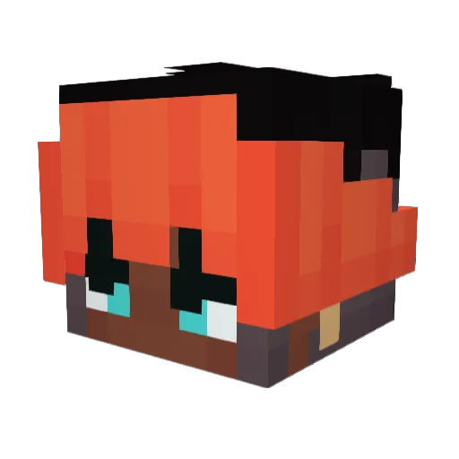 RoyDaBoys Minecraft avatar head, 3D render