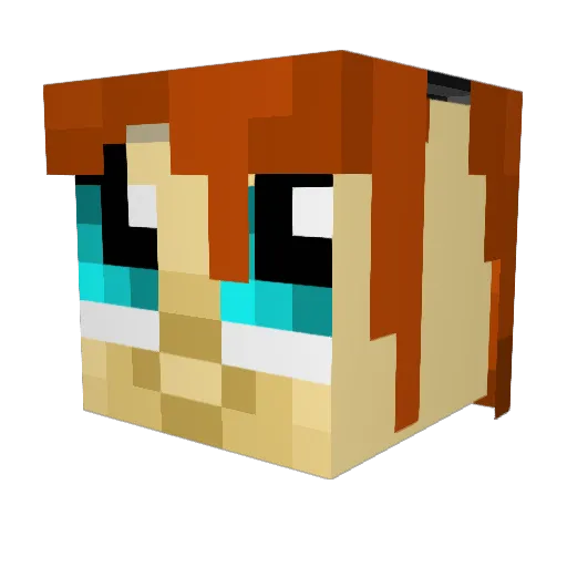 RoyKirbs Minecraft avatar head, 3D render