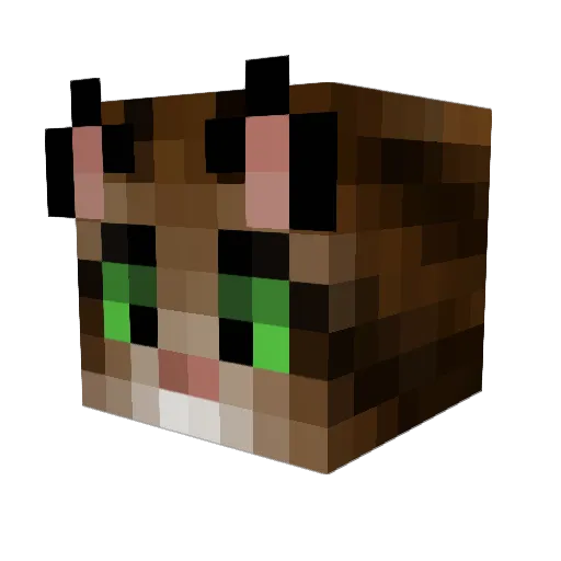 Roy_Bos Minecraft avatar head, 3D render