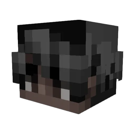 Roy_Vasco Minecraft avatar head, 3D render