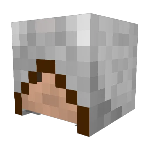 Royal02 Minecraft avatar head, 3D render