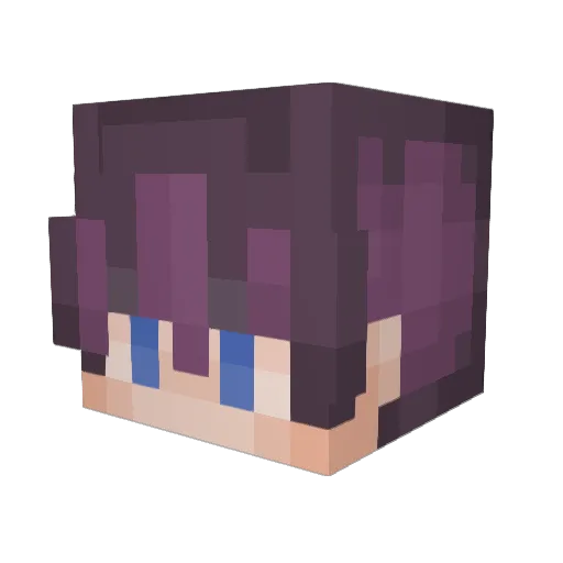 RoyalArashi Minecraft avatar head, 3D render
