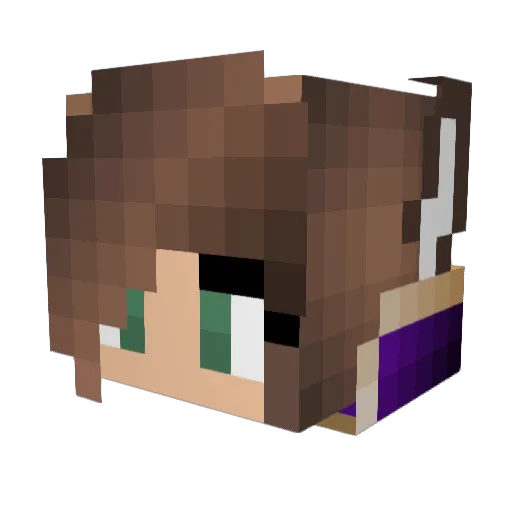 RoyalKnight6190 Minecraft avatar head, 3D render