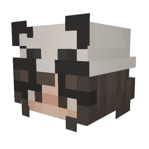 RoyalPanda1594 Minecraft avatar head, 3D render