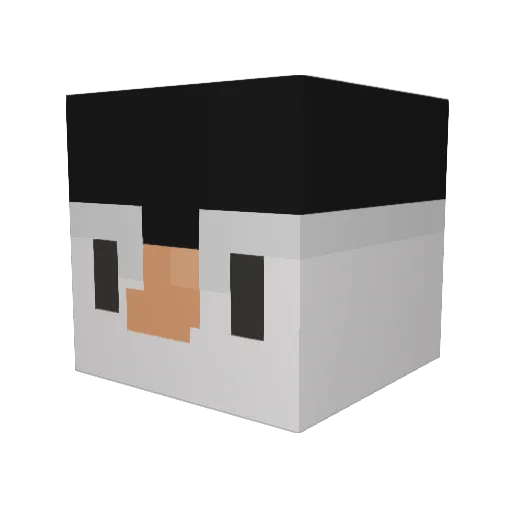 RoyalPingu Minecraft avatar head, 3D render