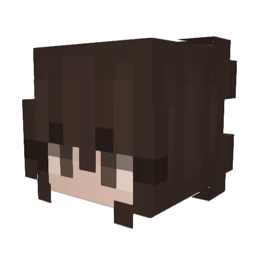 Royal_Ari19 Minecraft avatar head, 3D render
