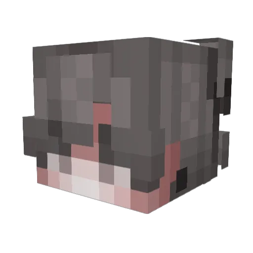 Royalfamx Minecraft avatar head, 3D render