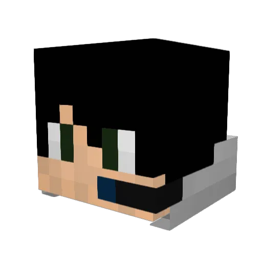 Royalzz Minecraft avatar head, 3D render