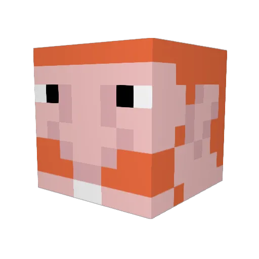 RoyanMemeLord Minecraft avatar head, 3D render