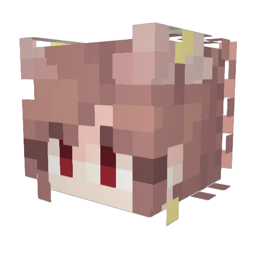 Roycie69 Minecraft avatar head, 3D render