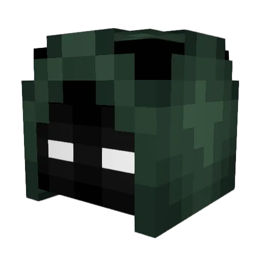 Roylin0123 Minecraft avatar head, 3D render