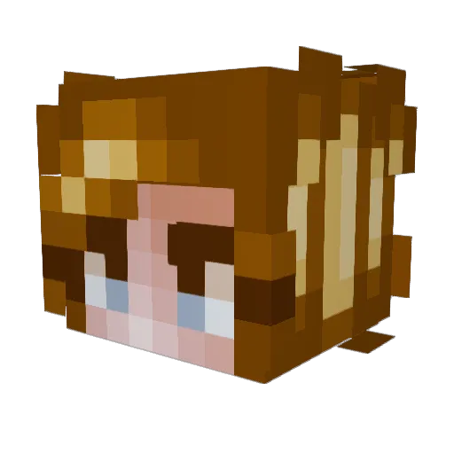 Rozabella Minecraft avatar head, 3D render