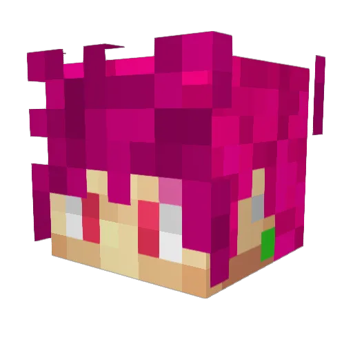 RozeBlack Minecraft avatar head, 3D render
