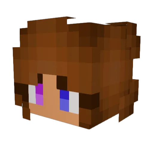 RozeFlowerz Minecraft avatar head, 3D render
