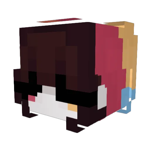 Rozemxry Minecraft avatar head, 3D render