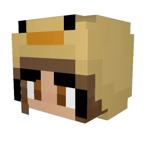Rozie0607 Minecraft avatar head, 3D render