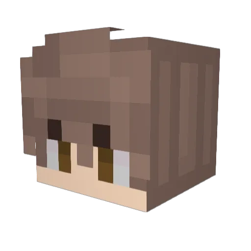 Rozilla395 Minecraft avatar head, 3D render