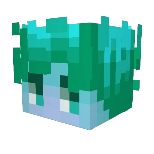 Roziry_397 Minecraft avatar head, 3D render