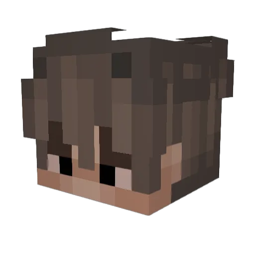 RozlynnBozo Minecraft avatar head, 3D render