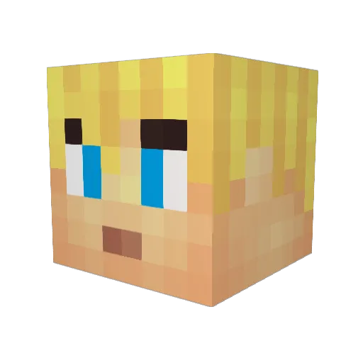 Rozza420 Minecraft avatar head, 3D render